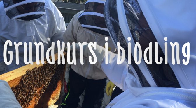 Grundkurs i biodling